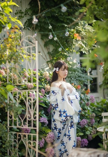 fans asiatiques célèbres meilleur collection