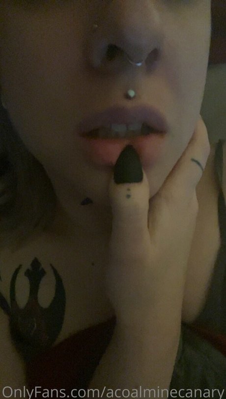 acoalminecanary étoile magnifique collection