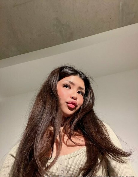 chicadorr Fotoaufnahmen