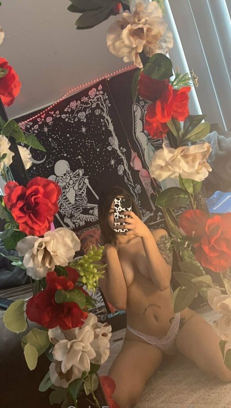 allexat sexe star galerie