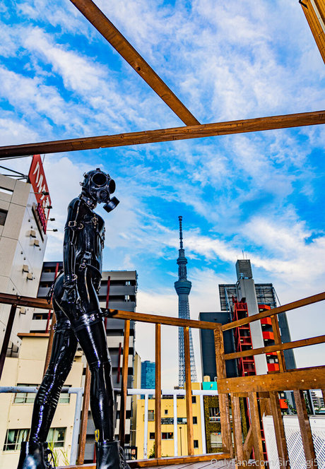 siranegi56 art star du porno images