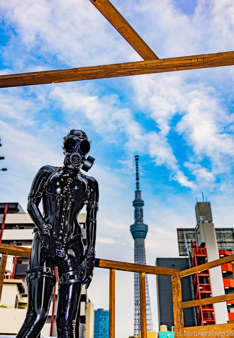 siranegi56 belle étoile photos