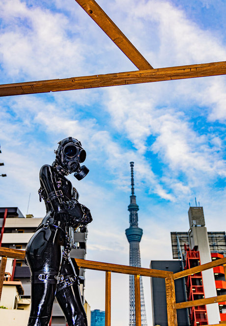 siranegi56 modèle images