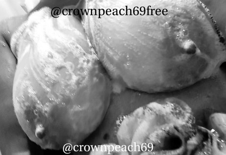 kissitpromos xxx étoile collection