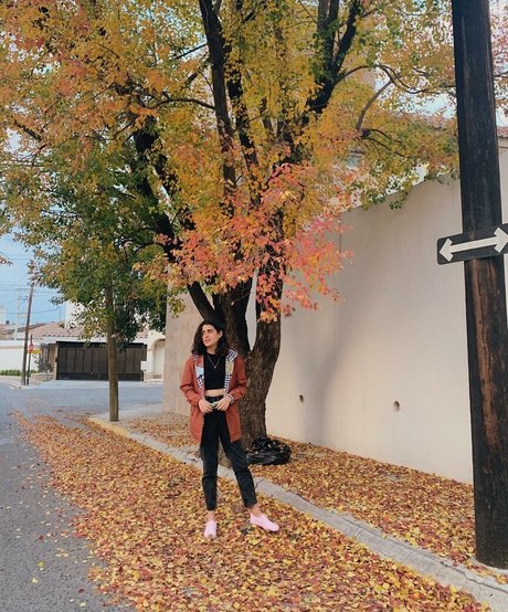 martresequis étoile gratuite images