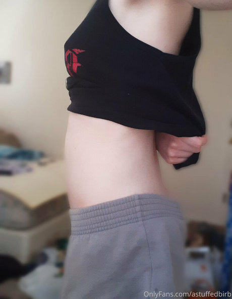 astuffedbirb star du porno adulte photo