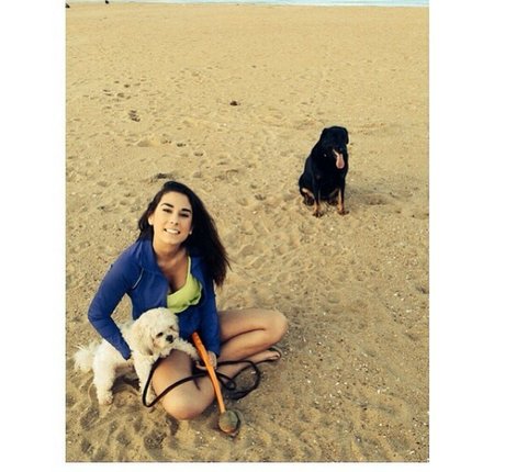 Ashton Hatchell étoile de haute qualité collection