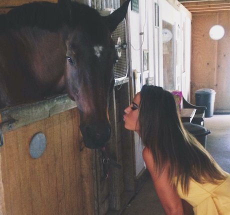 Ashton Hatchell étoile adulte image