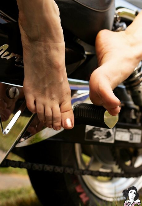 Ninha Suicide art star du porno photo