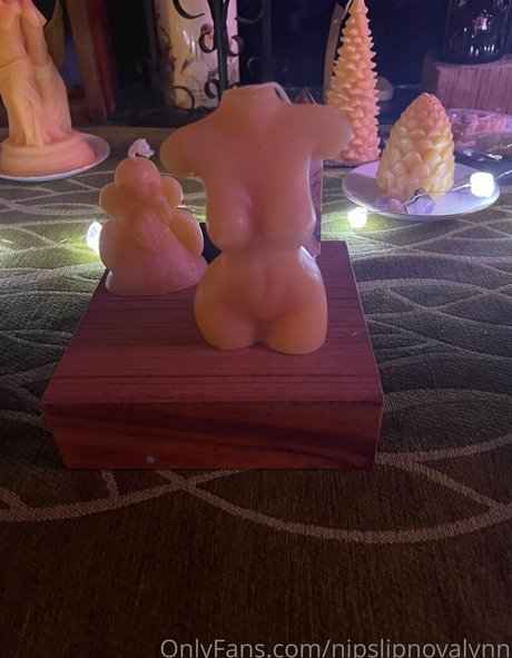 nipslipnovalynn meilleure étoile galerie