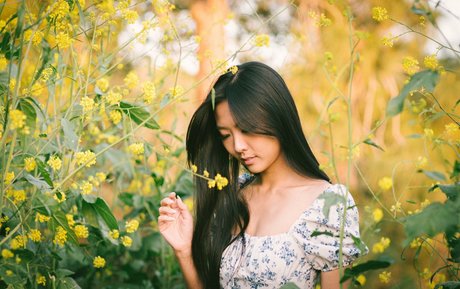 Classic Christinee étoile image