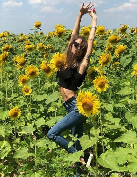 kris nasty jolie star du porno images