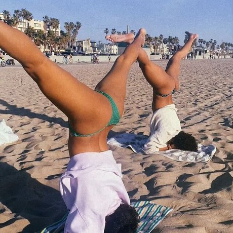 chaton potelé uniquementfans meilleur hd photo