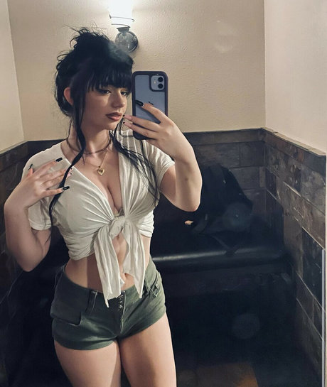 cowgirl babyy art de star du porno archive