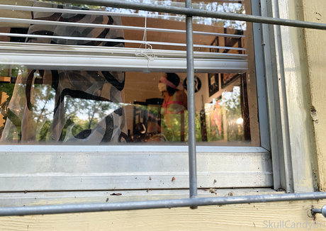 skullcandybri star du porno chaud galerie