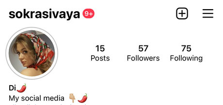 spicymariapie haut modèle galerie