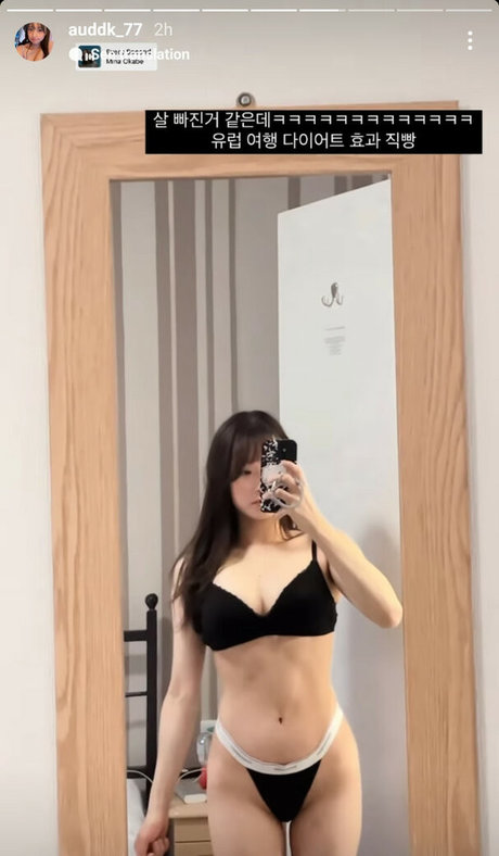 Auddk 77 modèle parfait images