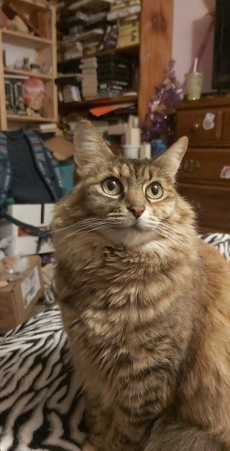 galaximoss modèle porno photo