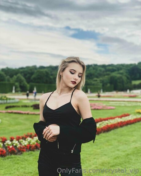 crystal vip étoile de haute qualité photos