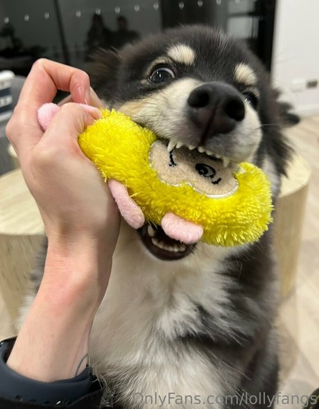 lollyfangs modèle porno galeries