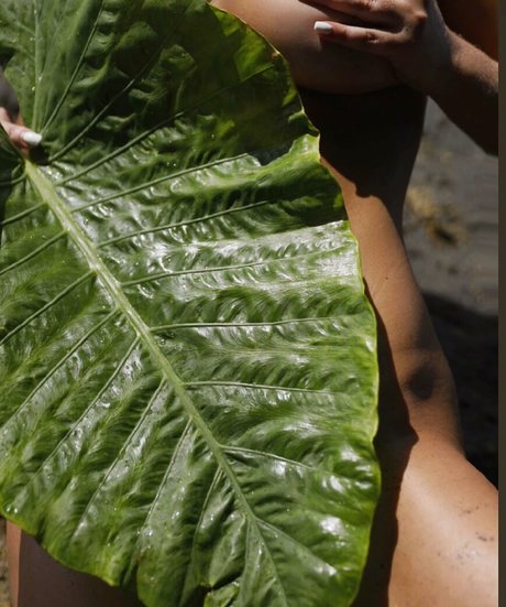 Iulia Girbu star du porno belle galerie