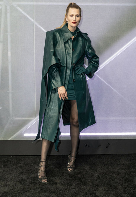 Toni Garrn étoile adulte images