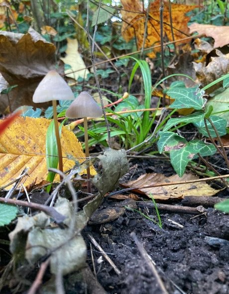 emiliamars star du porno exclusive photos