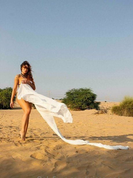 onlyfans populaires et gratuits jolie xxx photos