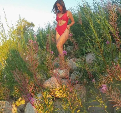 Taylor Francis belle star du porno image