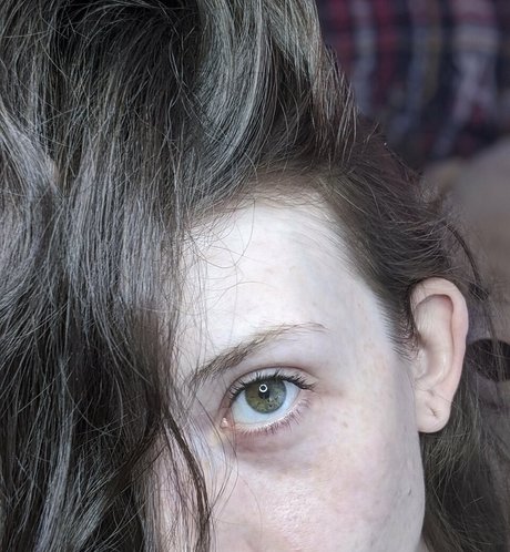 snoot joli modèle archive