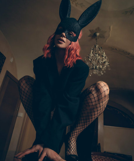 dtp lt beau modèle galerie