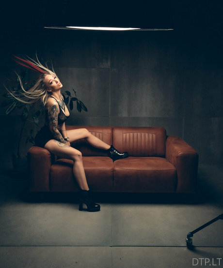 dtp lt haut modèle galerie