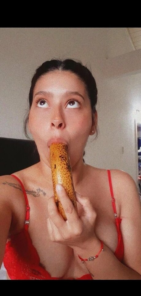 agnesbaby étoile de l'art collection