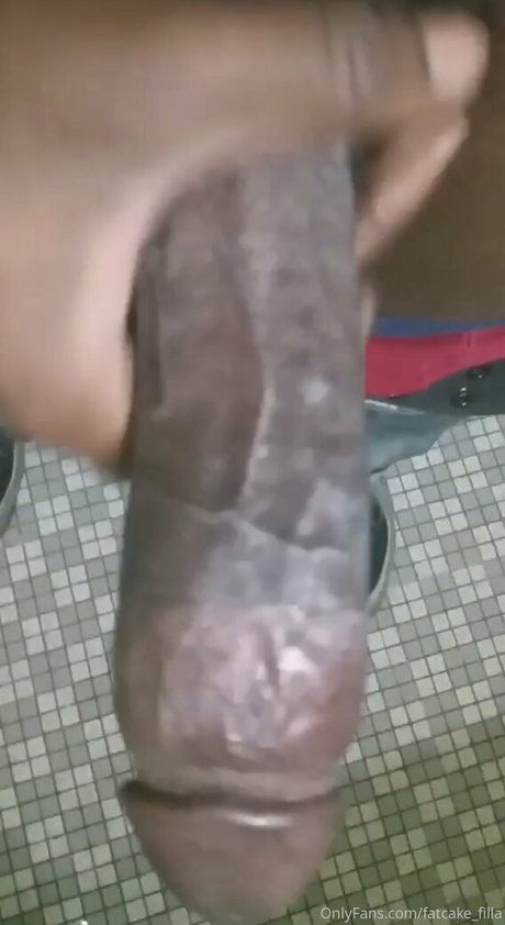 fatcake filla étoile de haute qualité images