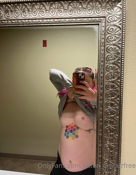 kitten amourfree joli modèle image