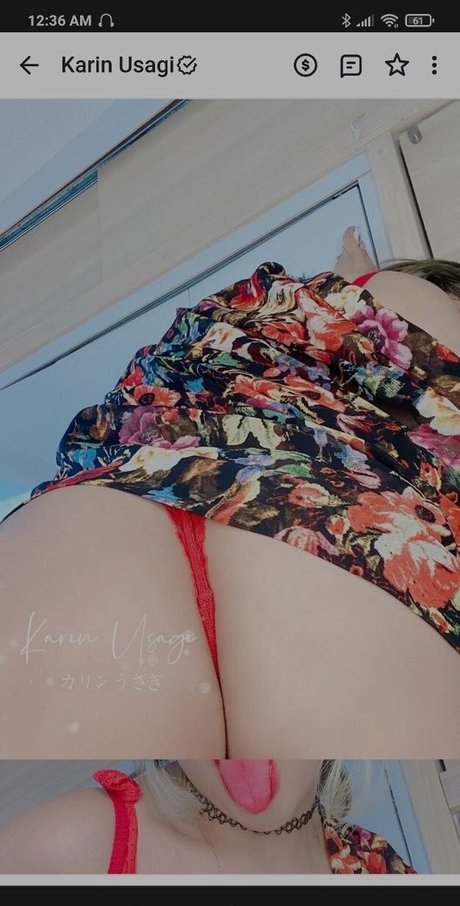 Karin Usagi nus étoiles collection