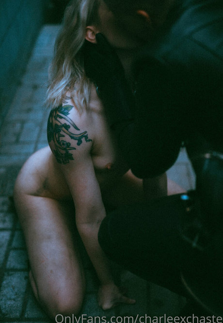 charleexchaste joli modèle galeries