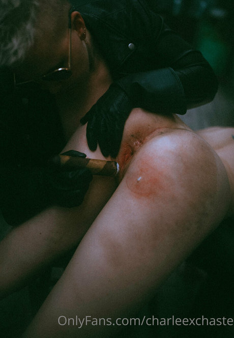 charleexchaste nus de stars du porno des photos