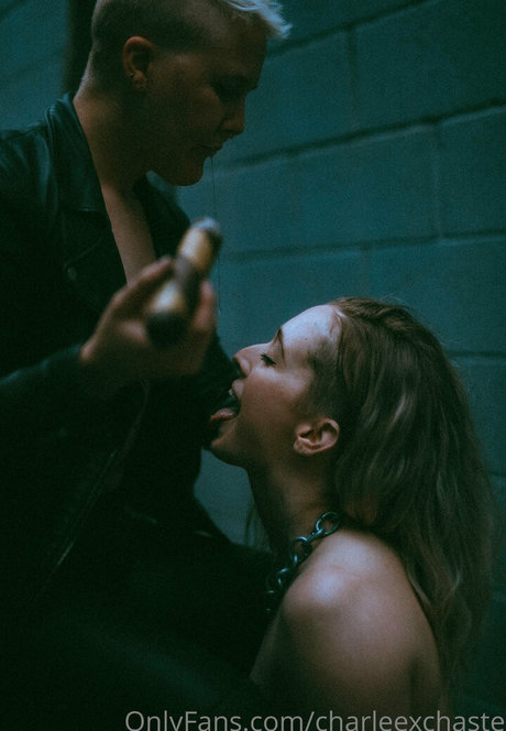 charleexchaste modèle gratuit img