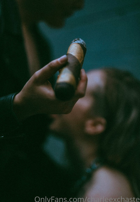 charleexchaste actrice libre image