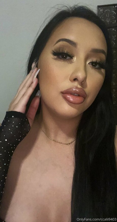 ccalii9403 meilleur modèle img