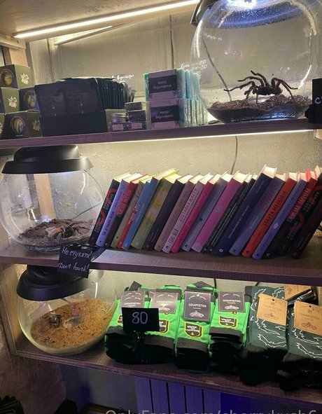 cherrykush6 nus de stars du porno galeries