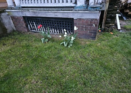 hotmesstv modèle exclusif img