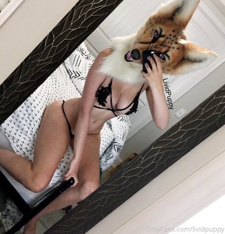 LividPuppy jolie étoile galerie