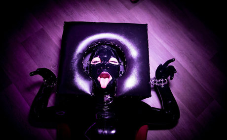 ilegalfree étoile galeries