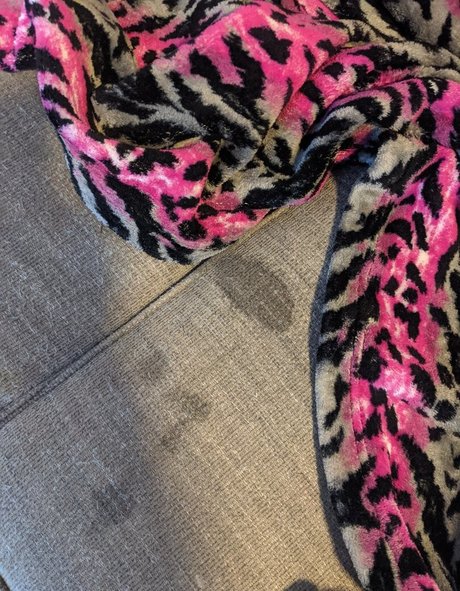 ashlynn212 jolie étoile galerie