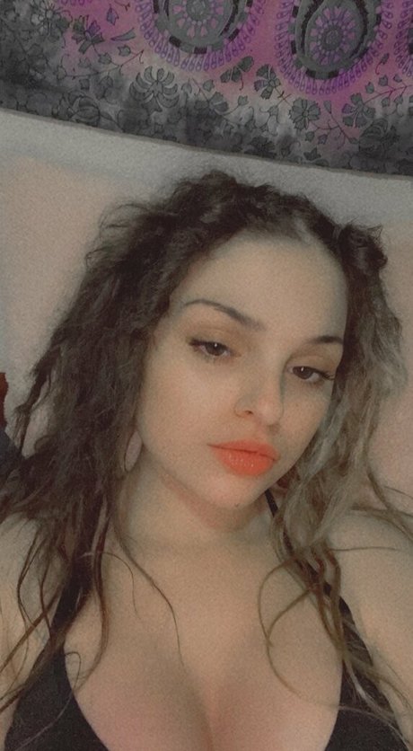 tokin bears sexe star collection