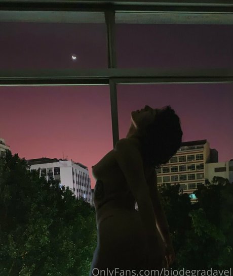 rayziebaby étoile adulte image