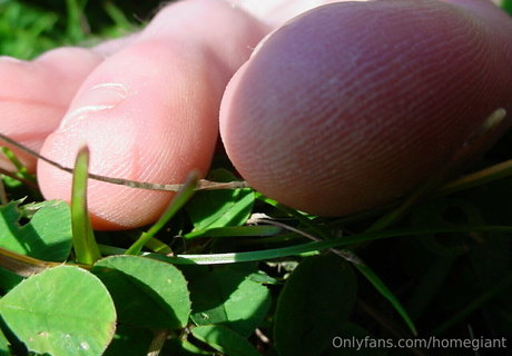 homegiant star du porno galerie