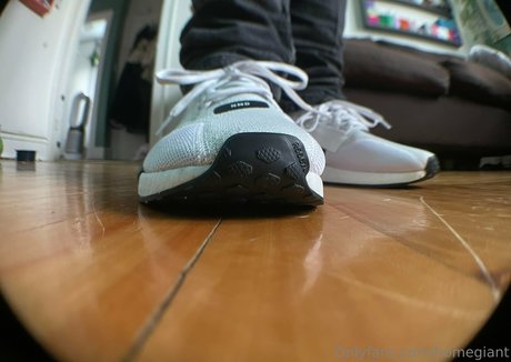 homegiant star du porno de haute qualité images